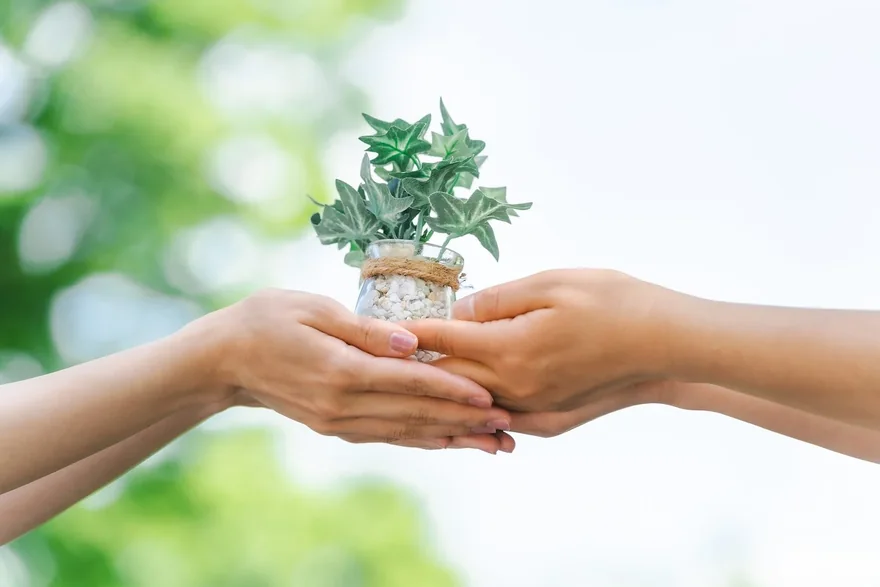 植物を手渡す様子
